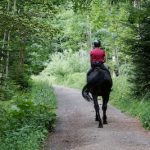 Équitation : Comment bien se protéger